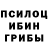 Псилоцибиновые грибы Cubensis Jack Torrance