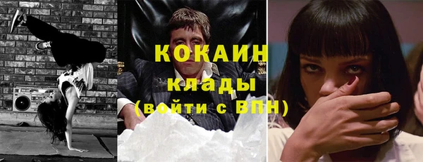 шишки Алексеевка