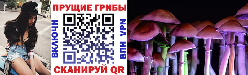магазин продажи Артёмовский Псилоцибиновые грибы Cubensis